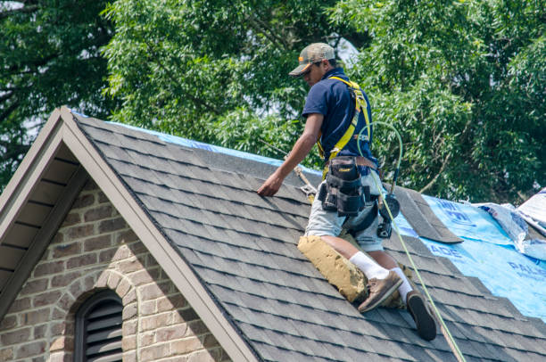 Best Roof Gutter Cleaning  in Tahoe Vista, CA